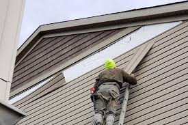 Professional Siding in Lovelock, NV